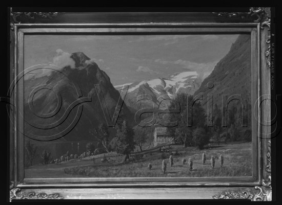 Glassplate og negativ film