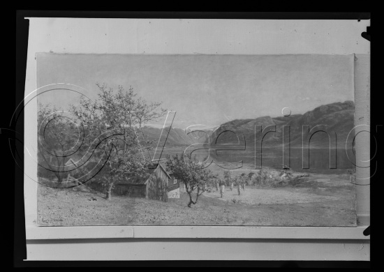 Glassplate og negativ film