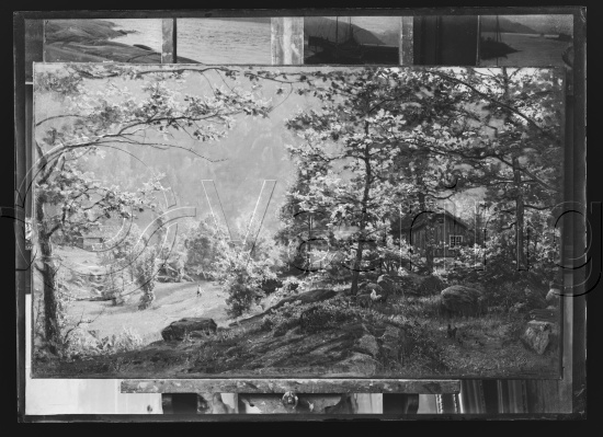 Glassplate og negativ film