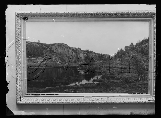 Glassplate og negativ film