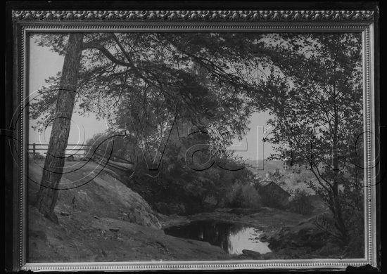 Glassplate og negativ film