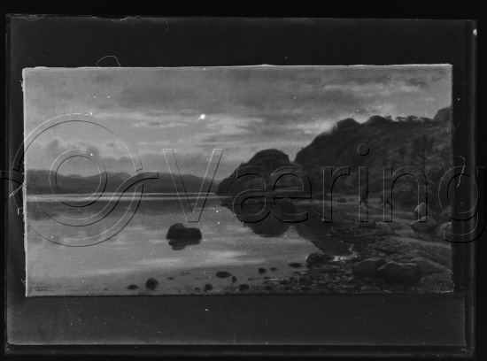Glassplate og negativ film