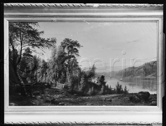 Glassplate og negativ film