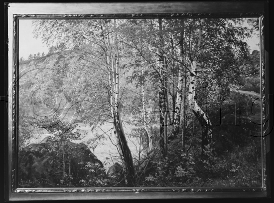 Glassplate og negativ film