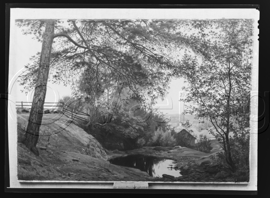 Glassplate og negativ film