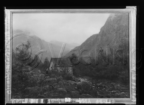 Glassplate og negativ film