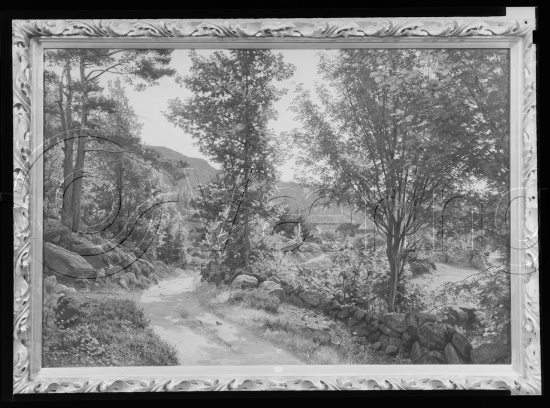 Glassplate og negativ film