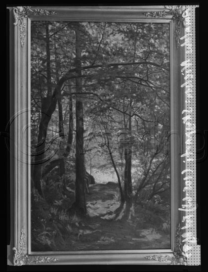Glassplate og negativ film