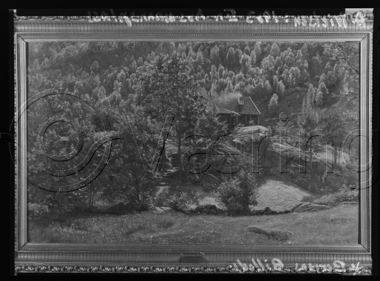 Glassplate og negativ film