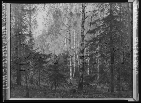 Glassplate og negativ film