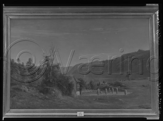 Glassplate og negativ film