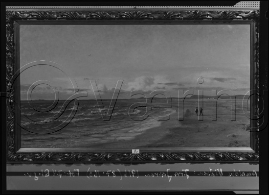 Glassplate og negativ film