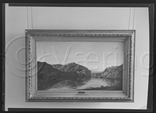 Glassplate og negativ film