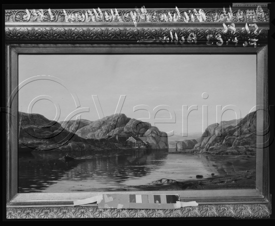 Glassplate og negativ film