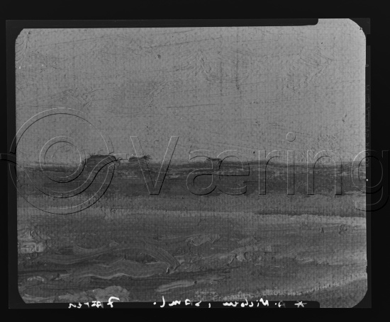 Glassplate og negativ film