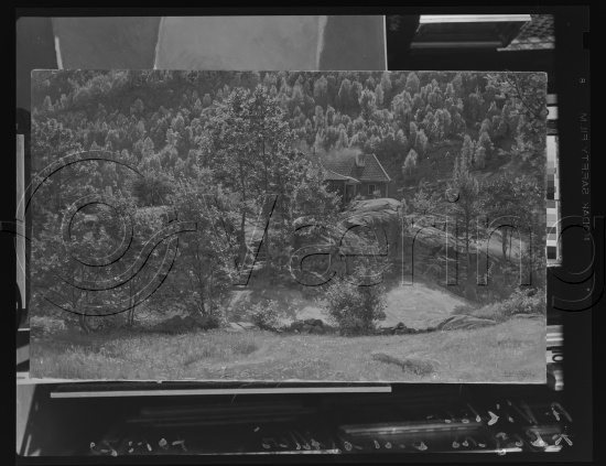 Glassplate og negativ film