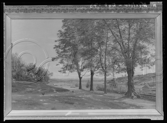 Glassplate og negativ film