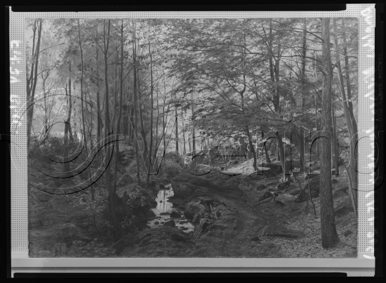 Glassplate og negativ film