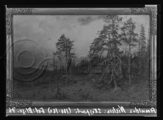 Glassplate og negativ film