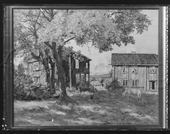 Glassplater og negativ film