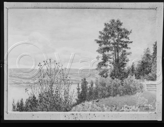 Glassplater og negativ film