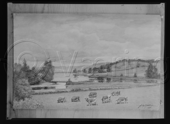 Glassplater og negativ film