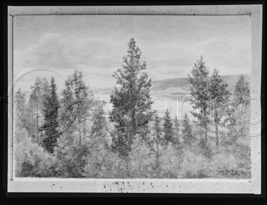 Glassplater og negativ film