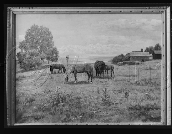 Glassplater og negativ film