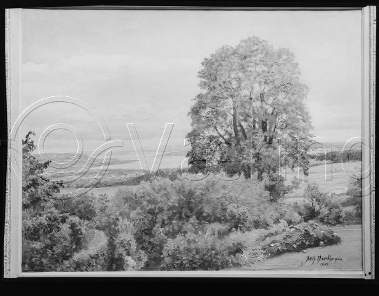 Glassplater og negativ film