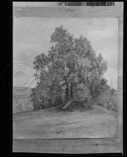 Glassplater og negativ film