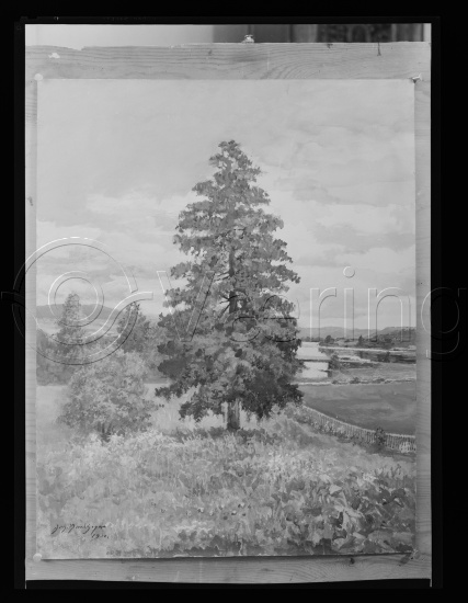 Glassplater og negativ film