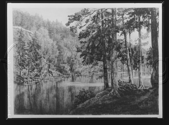 Glassplater og negativ film