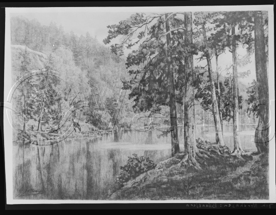 Glassplater og negativ film