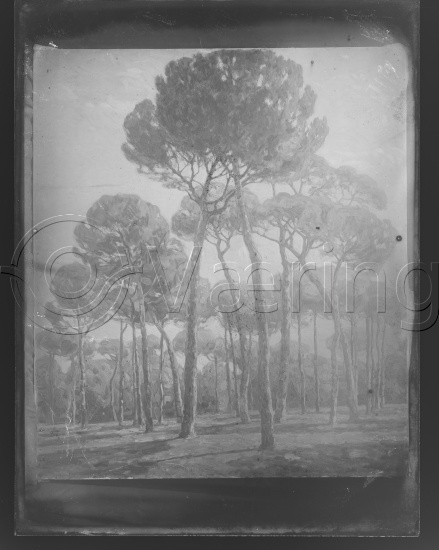 Glassplate og negativ film