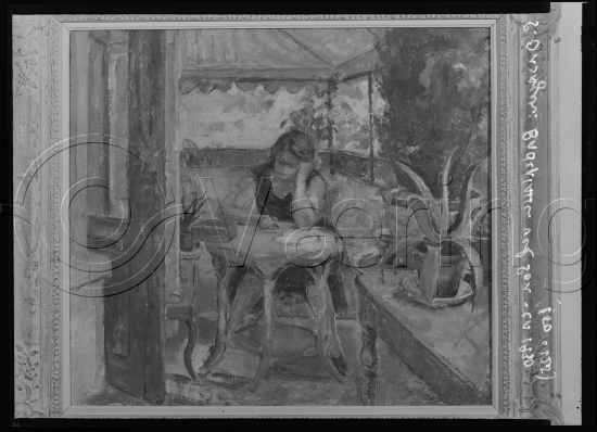 Glassplate og negativ film