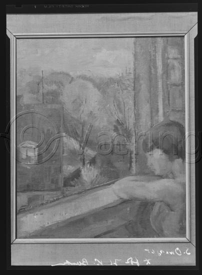 Glassplate og negativ film