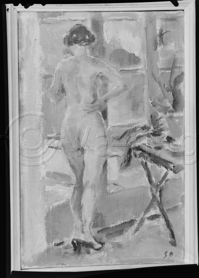 Glassplate og negativ film