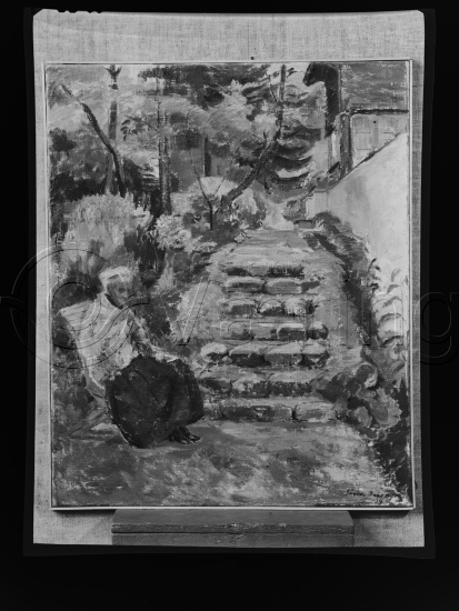 Glassplate og negativ film