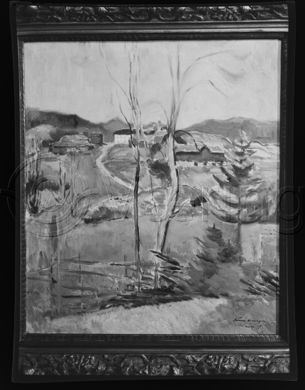 Glassplate og negativ film