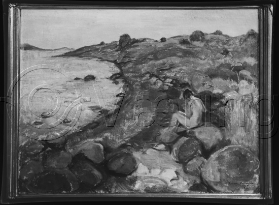 Glassplate og negativ film