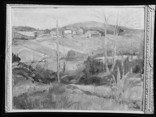 Glassplate og negativ film