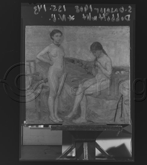 Glassplate og negativ film