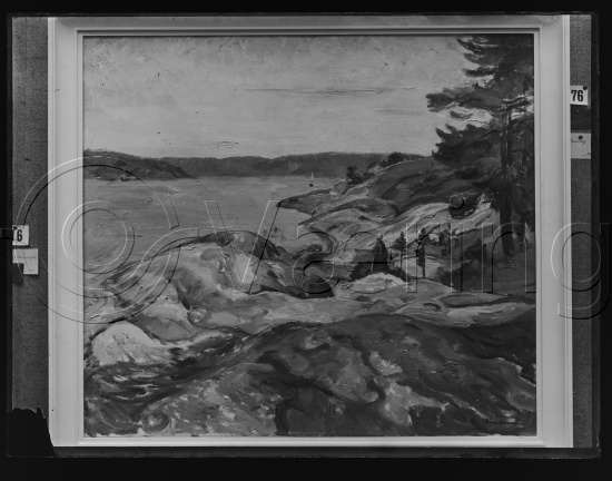 Glassplate og negativ film