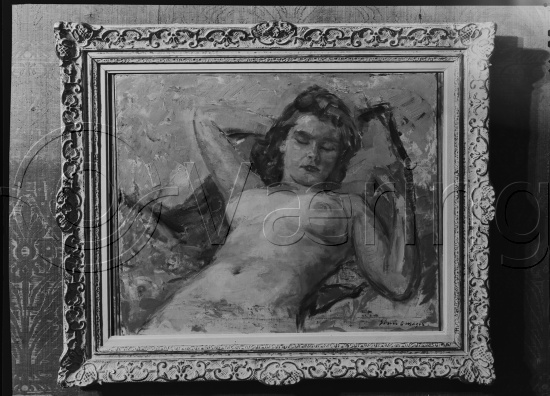 Glassplate og negativ film