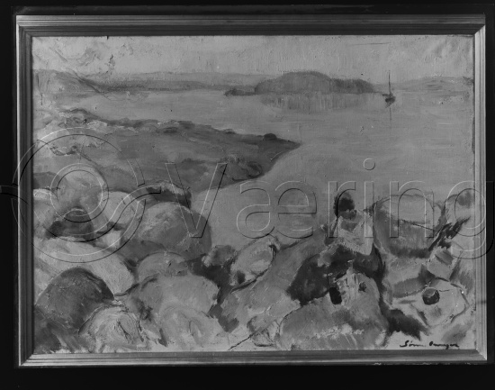 Glassplate og negativ film