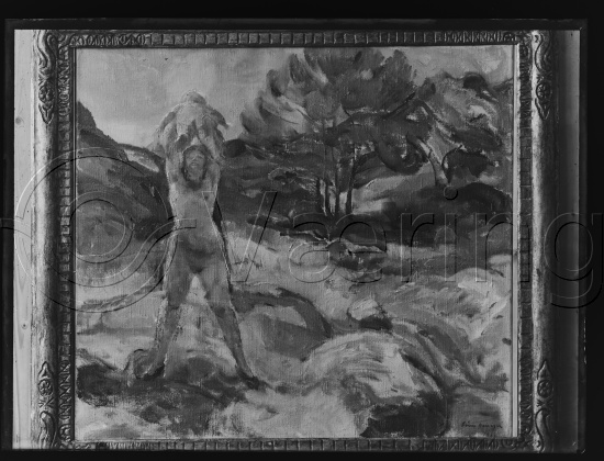 Glassplate og negativ film