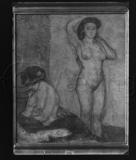 Glassplate og negativ film