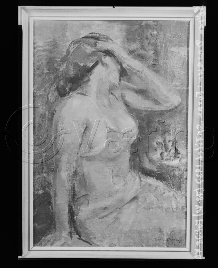 Glassplate og negativ film