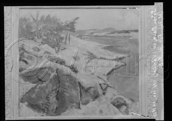 Glassplate og negativ film