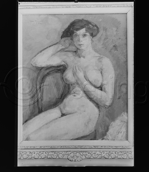 Glassplate og negativ film